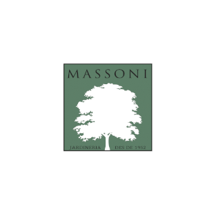 Logo Massoni 2